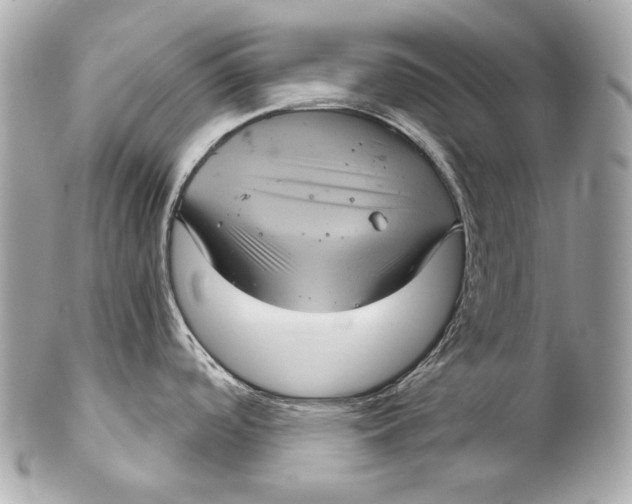 X0000102241488200808151742