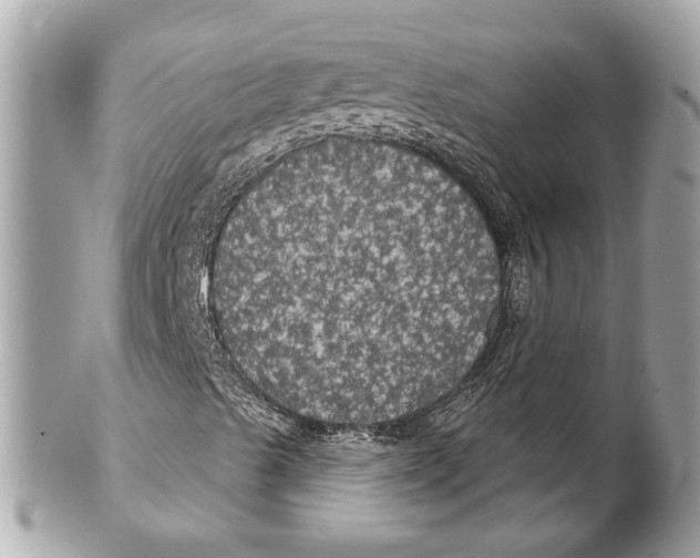 X0000102241489200808151741