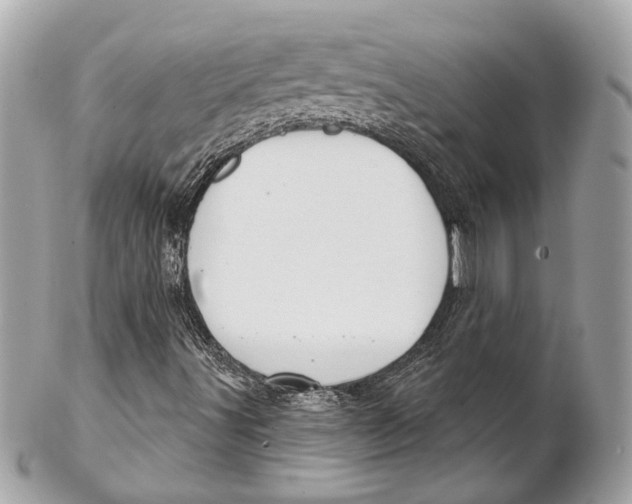 X0000102241491200808151741