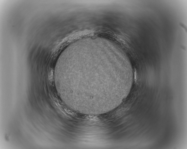 X0000102241492200808151741