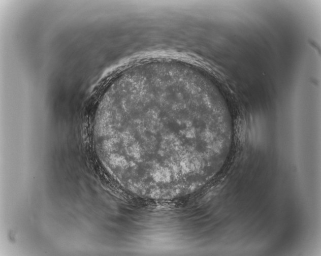 X0000102241494200808151741