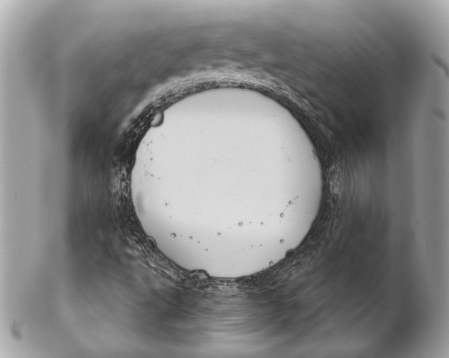 X0000102241495200808151741