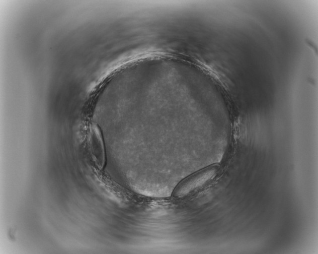 X0000102241496200808151741