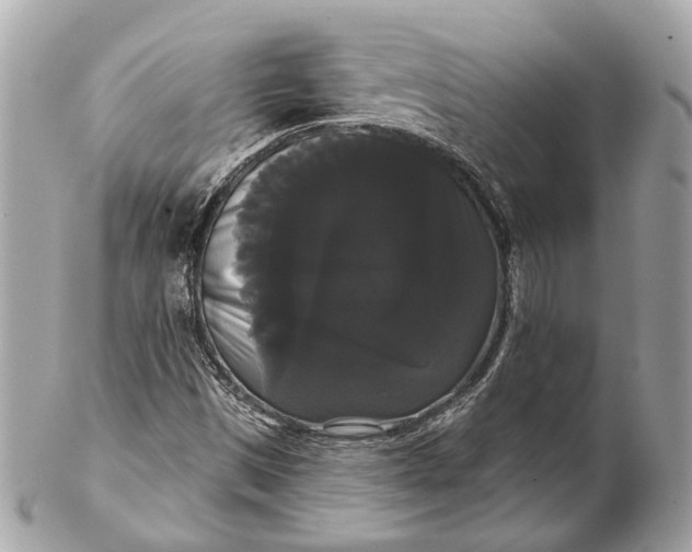 X0000102241497200808151741