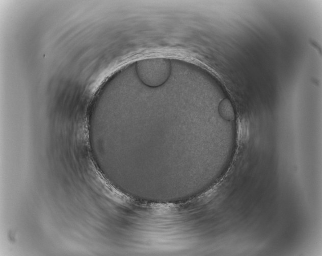 X0000102241498200808151741