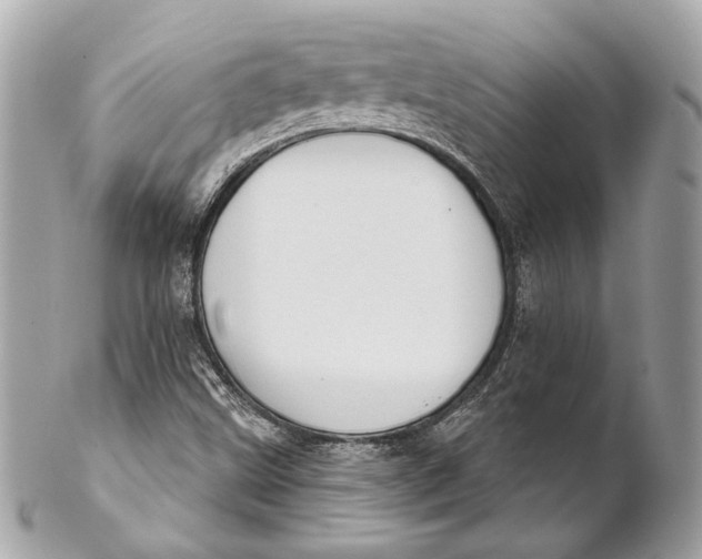 X0000102241499200808151741