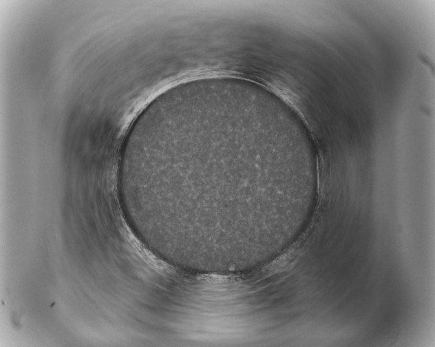 X0000102241500200808151741