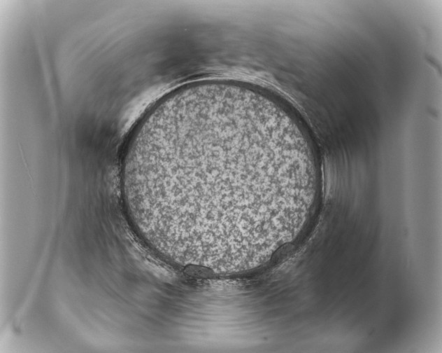 X0000102241501200808151741