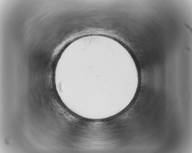 X0000102241502200808151741