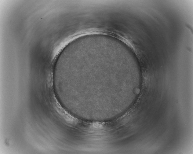 X0000102241504200808151741