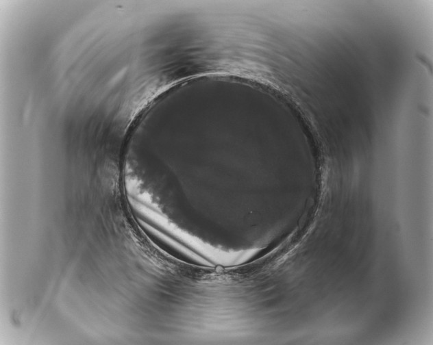 X0000102241505200808151741