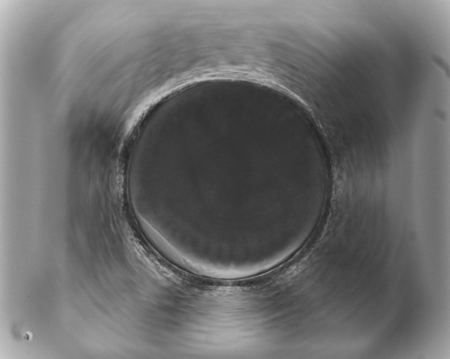 X0000102241506200808151741