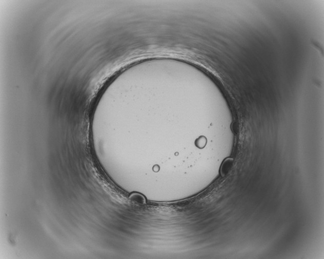 X0000102241507200808151741