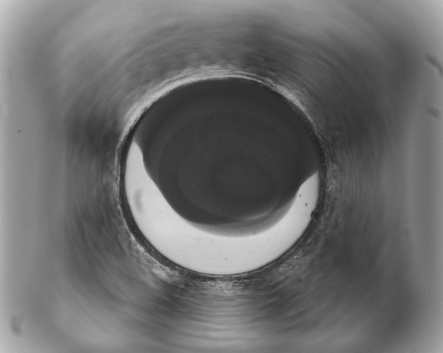 X0000102241508200808151741