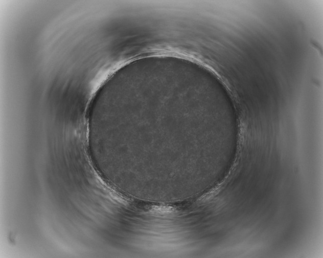 X0000102241509200808151741