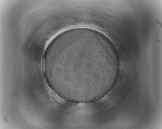 X0000102241510200808151741