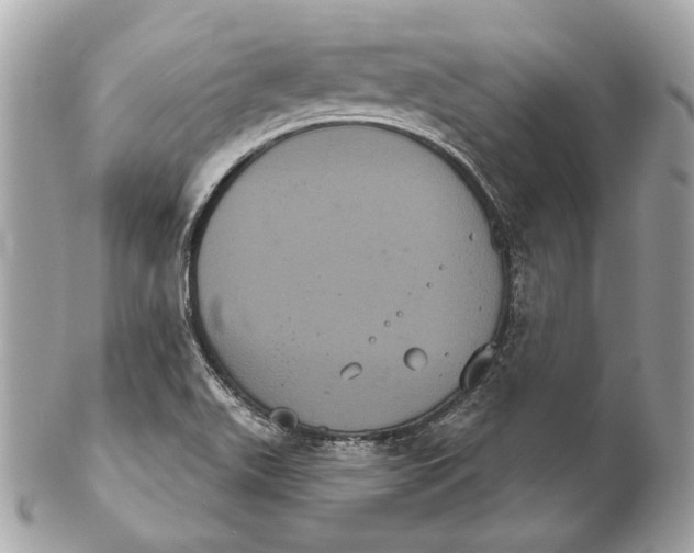 X0000102241511200808151741