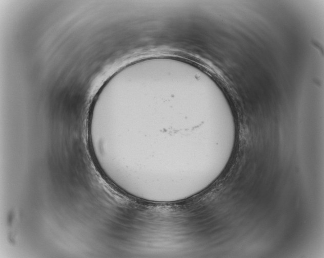 X0000102241512200808151741