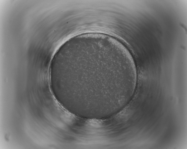 X0000102241514200808151741