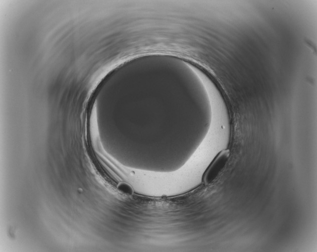 X0000102241515200808151741