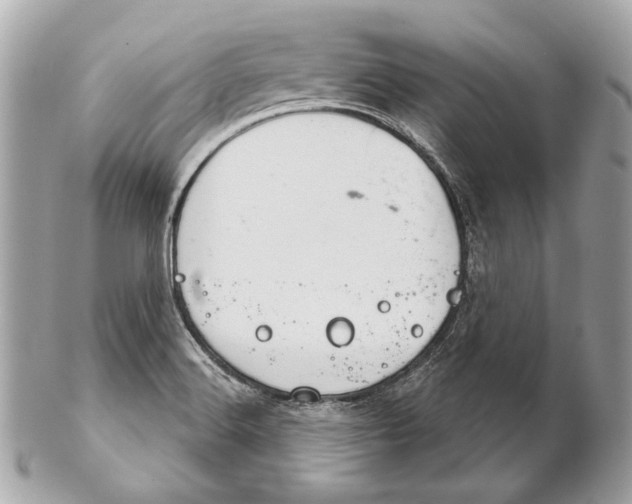 X0000102241516200808151741