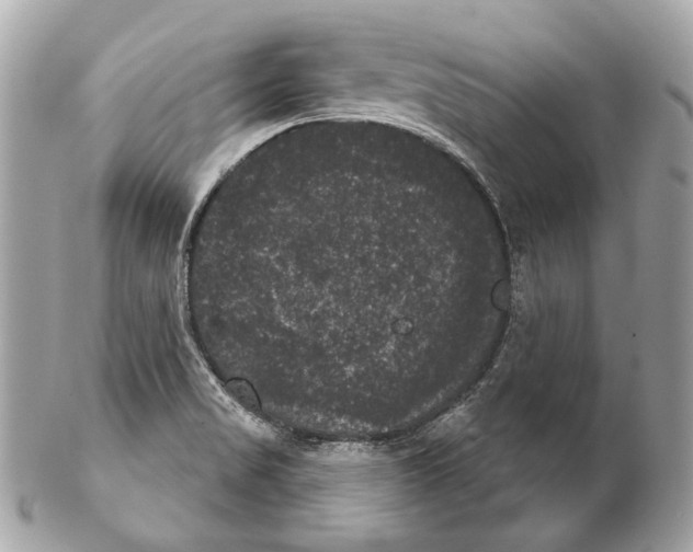 X0000102241517200808151741