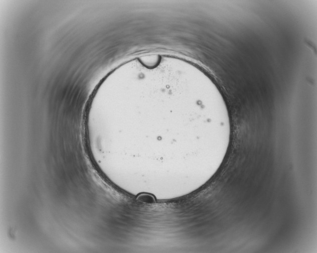 X0000102241518200808151741