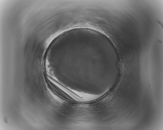 X0000102241519200808151741