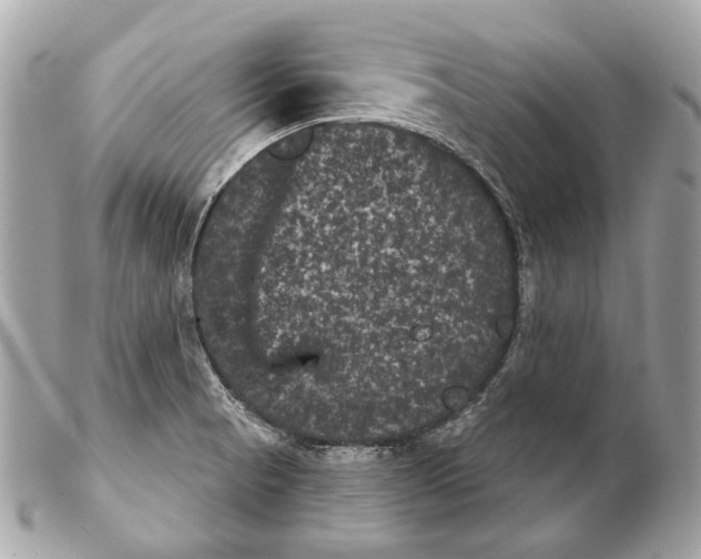 X0000102241521200808151741