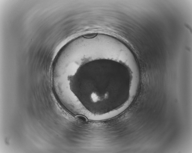 X0000102241522200808151741