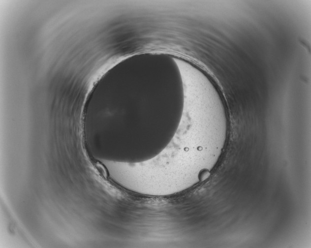 X0000102241525200808151741