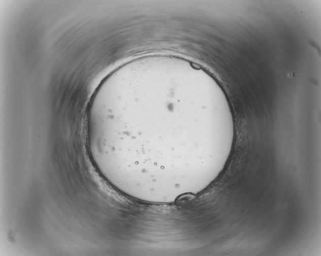 X0000102241526200808151741