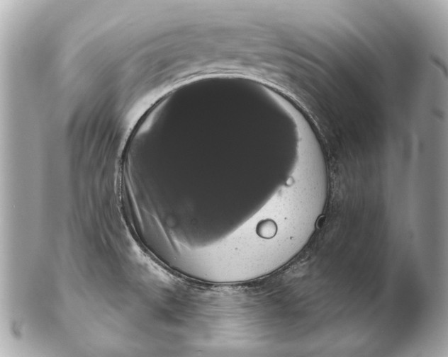 X0000102241527200808151741