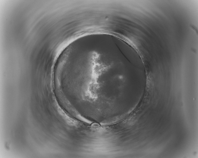 X0000102241528200808151741