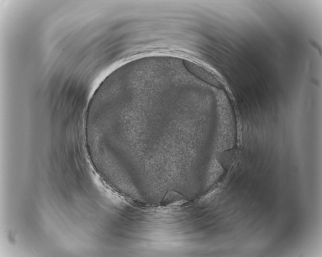 X0000102241530200808151741