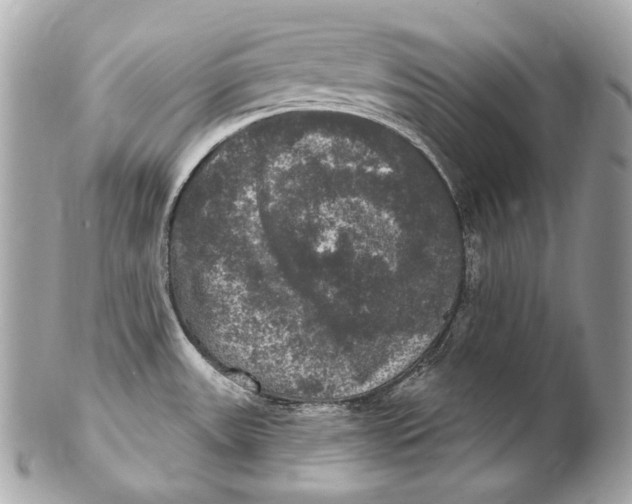 X0000102241531200808151741