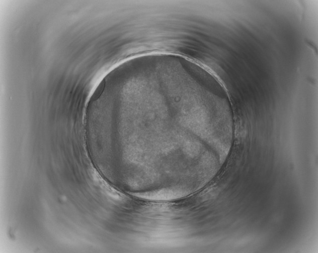 X0000102241532200808151741