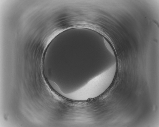 X0000102241533200808151741