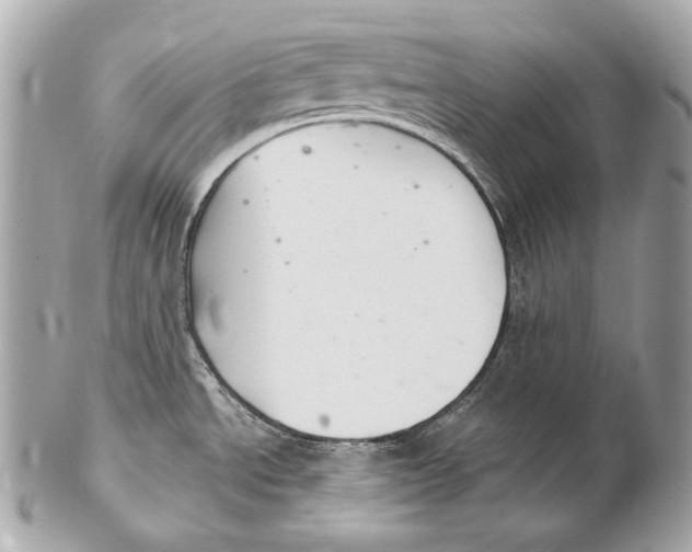 X0000102241534200808151741