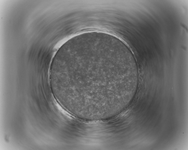 X0000102241535200808151741