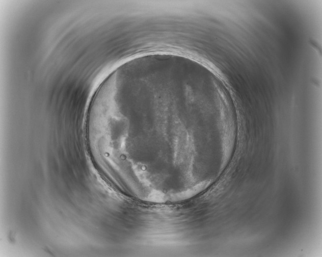 X0000102241536200808151742