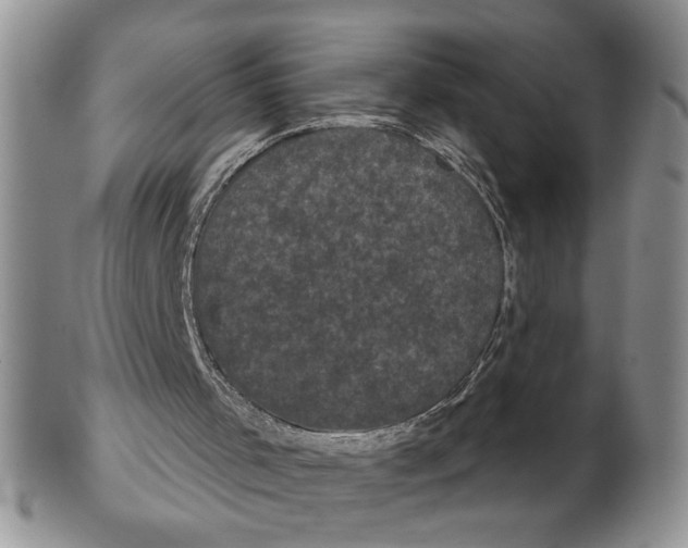 X0000102240001200808221341