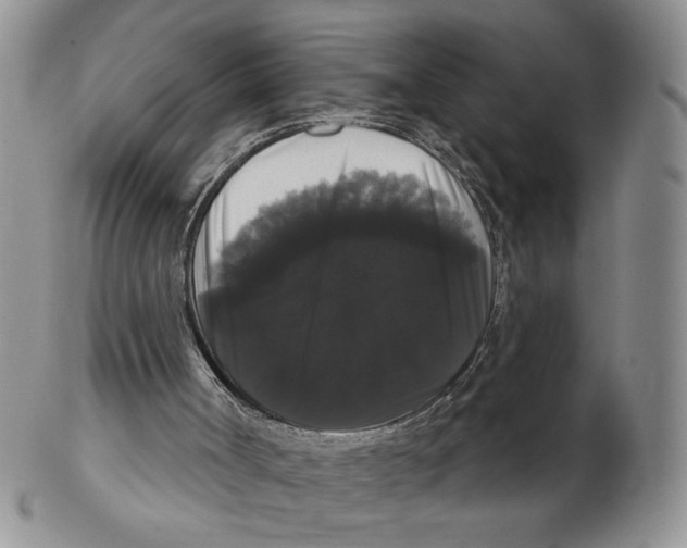 X0000102240002200808221341