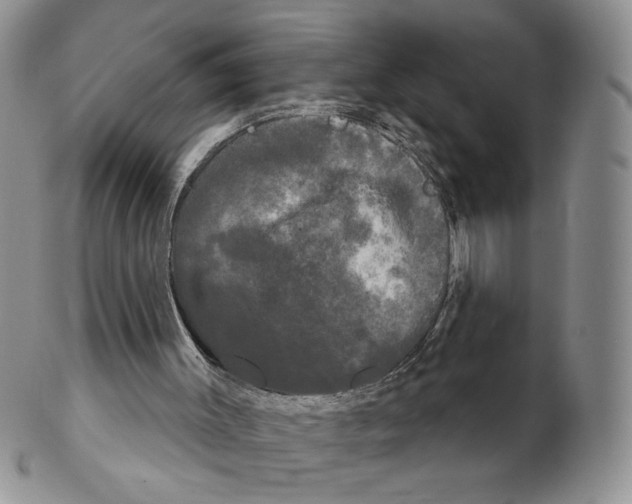 X0000102240003200808221341