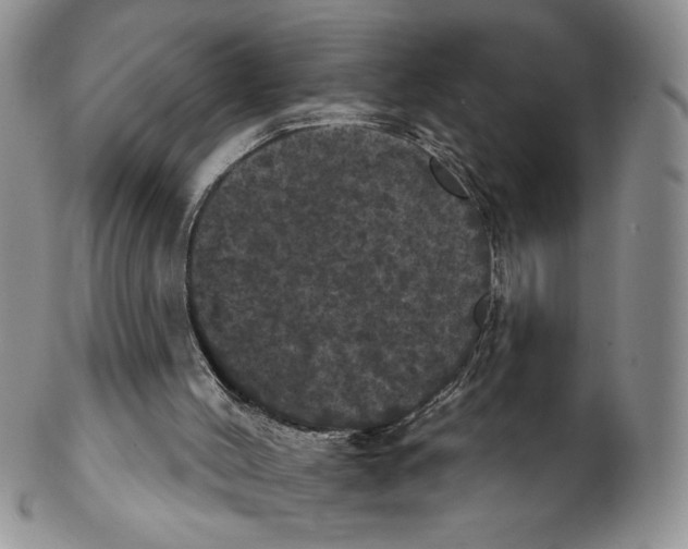 X0000102240004200808221341