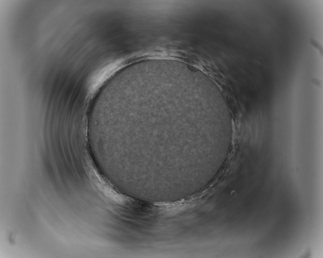 X0000102240005200808221341