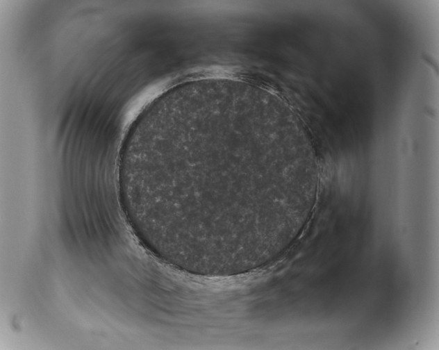 X0000102240006200808221341