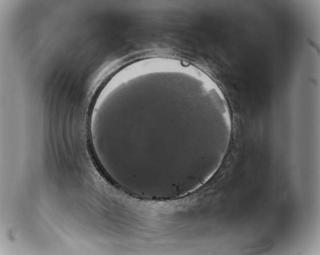 X0000102240007200808221341