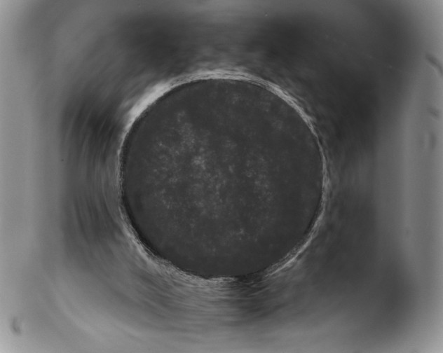 X0000102240008200808221341