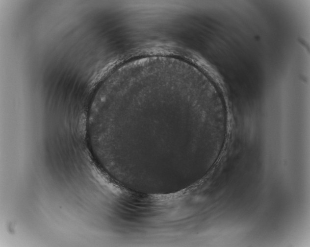 X0000102240009200808221341